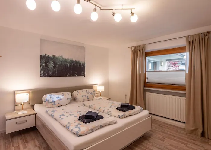 Gondelspass Apartment Fuegen